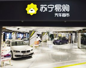 天能集團與蘇寧達(dá)成合作 將設(shè)電動車服務(wù)站